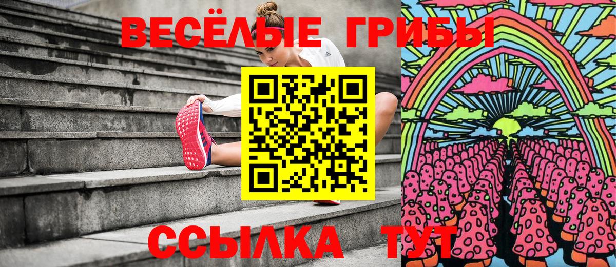 Ейск  Псилоцибиновые грибы Psilocybine cubensis  Вход с VPN 