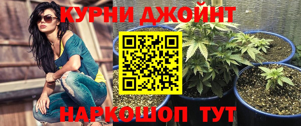Каннабис Amnesia Ейск