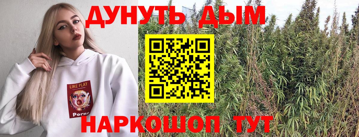 Бошки Шишки планчик  Ейск  Каннабис Ganja 